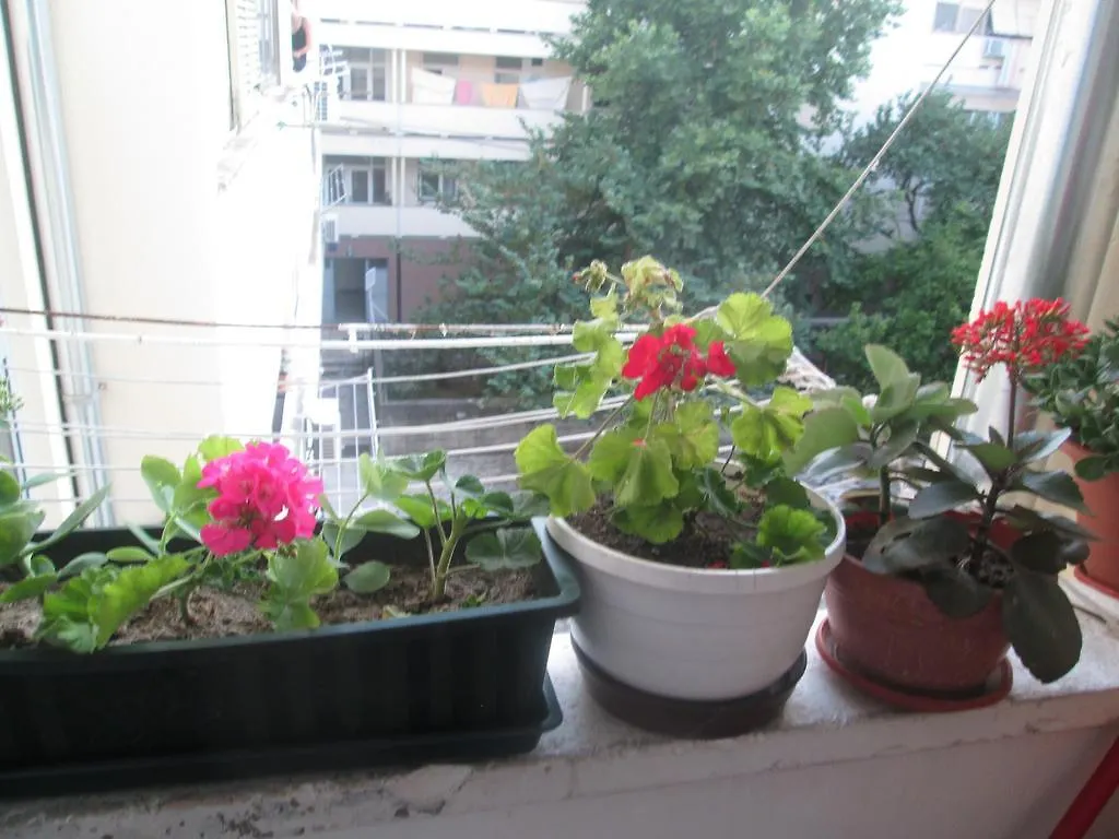 **  Guest House Marija Zadar Хорватия